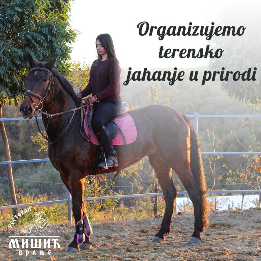 Zoo Misic Prenociste Otel Vranje Dış mekan fotoğraf